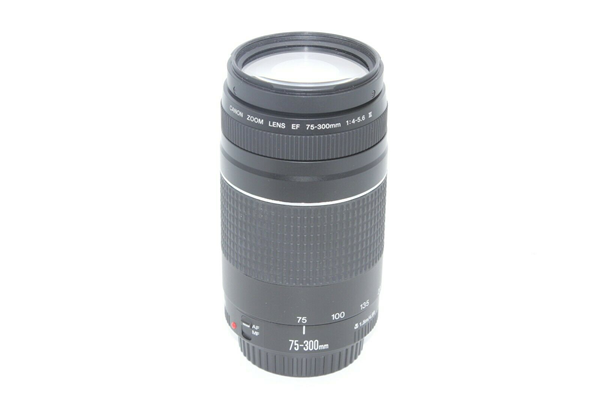 Picture of Canon EF 75-300mm f/4.0-5.6 III Lens