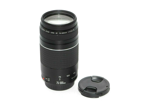 Picture of Canon Zoom EF 75-300mm f4-5.6 III Lens